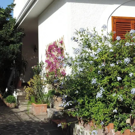 Alex Relax E Mare Villa *